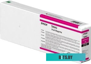 Картридж Epson C13T804300