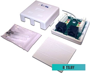 Настенная розетка TWT SM2-4545-WH, 2 порта RJ-45 категории 5е, UTP, белая