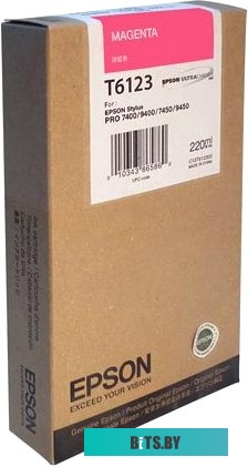 Картридж Epson C13T612300