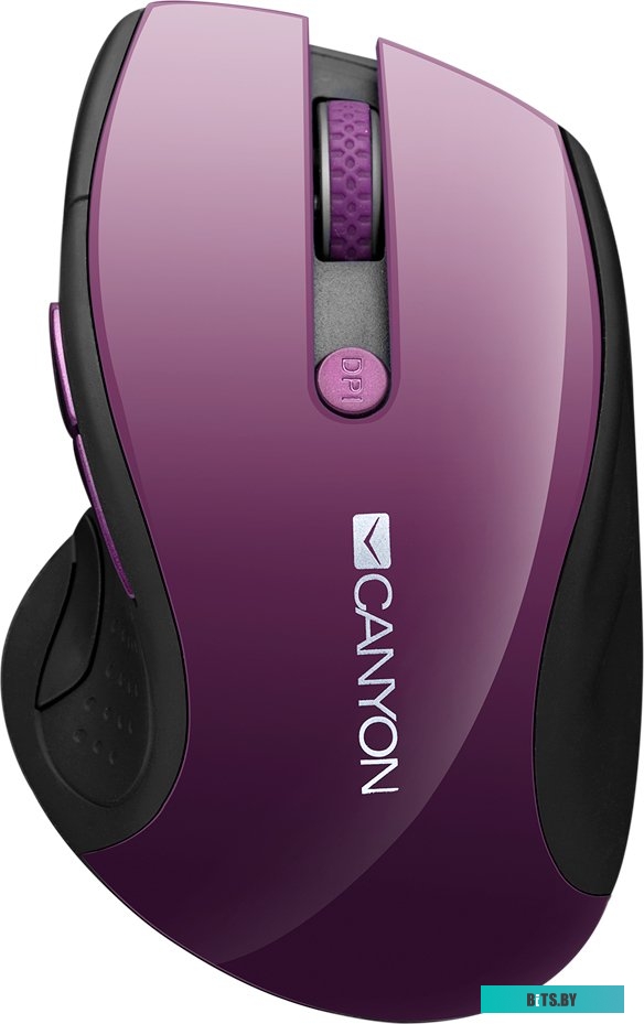Мышь Canyon CNS-CMSW01P