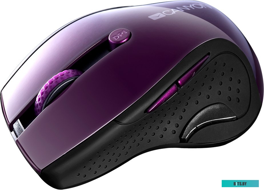 Мышь Canyon CNS-CMSW01P