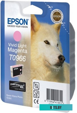 Картридж Epson C13T09664010