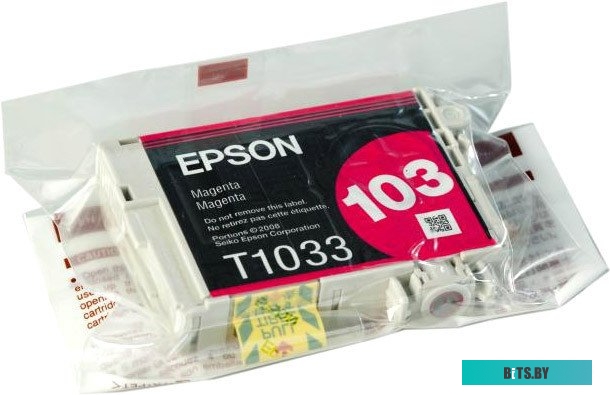 Картридж Epson C13T10334A10