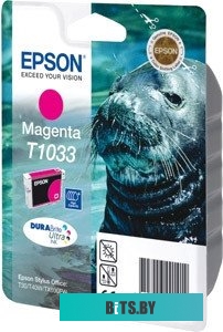 Картридж Epson C13T10334A10