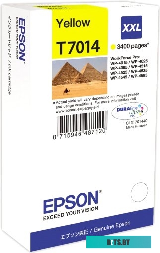 Картридж Epson C13T70144010