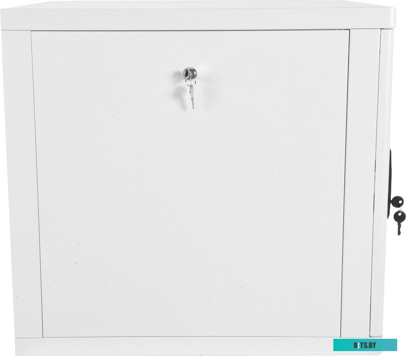 ЦМО Шкаф телекоммуникационный настенный разборный 18U (600х520) дверь металл арт. ШРН-Э-18.500.1