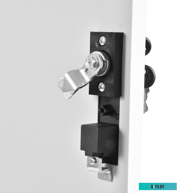 ЦМО Шкаф телекоммуникационный настенный разборный 18U (600х520) дверь металл арт. ШРН-Э-18.500.1