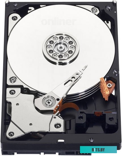 Полка стационарная ЦМО 10" U1, глубина 147мм, серый МС-15-10