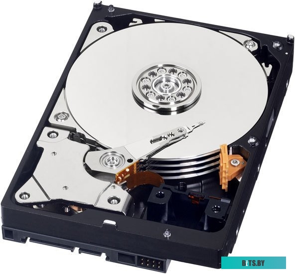 Полка стационарная ЦМО 10" U1, глубина 147мм, серый МС-15-10