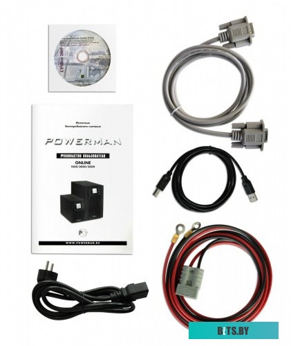 Источник бесперебойного питания (ИБП) Powerman Online 1000 Plus