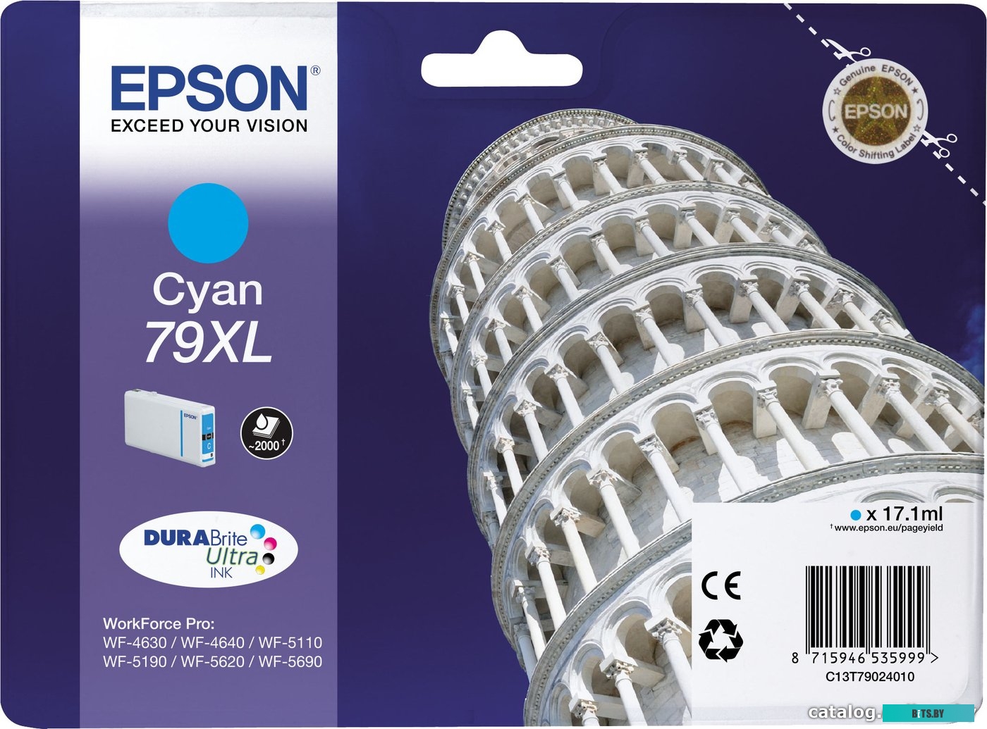Картридж Epson C13T79024010