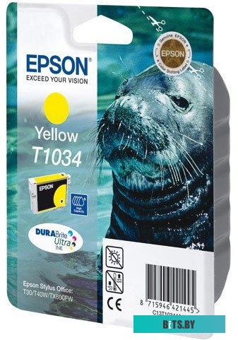 Картридж Epson C13T10344A10