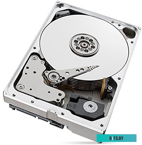 Жесткий диск Seagate Ironwolf 10TB [ST10000VN0004]