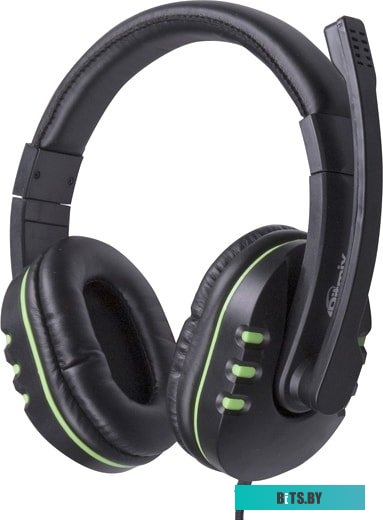 Наушники (Гарнитура) Ritmix RH-555M (черный/зеленый)