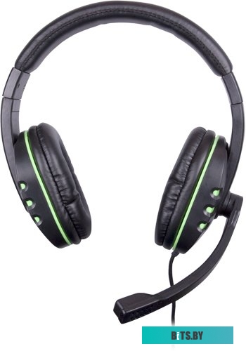 Наушники (Гарнитура) Ritmix RH-555M (черный/зеленый)