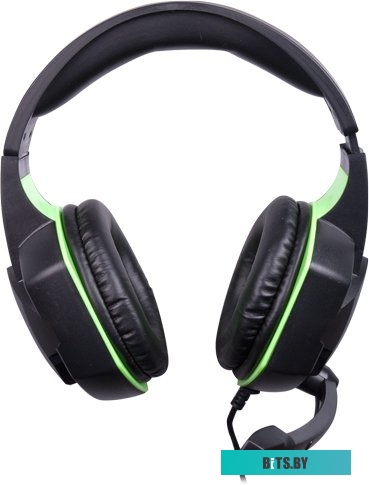 Наушники (Гарнитура) Ritmix RH-560M