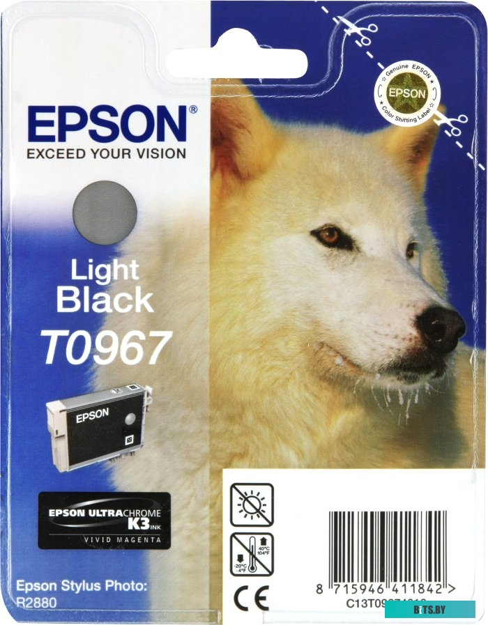 Картридж Epson C13T09674010