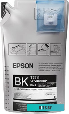 Картридж Epson C13T741100