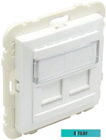 Efapel Лицевая панель с суппортом для двух коннекторов RJ45, белый арт. 90442 SBR