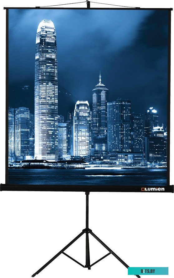 Экран для проекторов Lumien Master View 220x220 (LMV-100111)