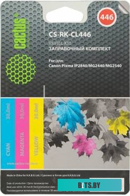 Чернила CACTUS CS-RK-CL446 (заправочный набор)