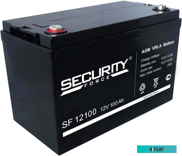 Аккумулятор для ИБП Security Force SF 12100 (12В/100 А·ч)