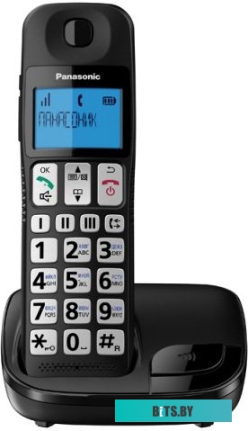 Радиотелефон Panasonic KX-TGE110RUB
