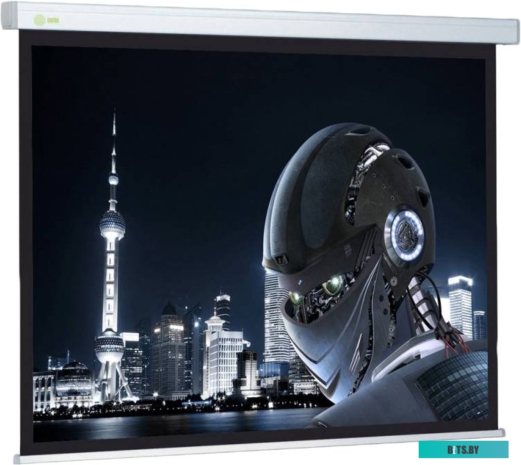 Экран для проекторов Cactus Wallscreen CS-PSW-128x170