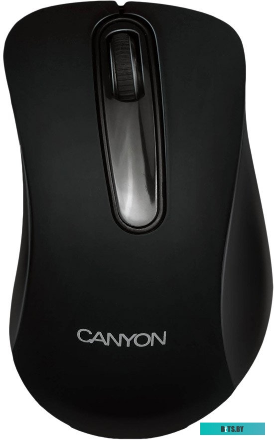 Мышь Canyon CNE-CMSW2