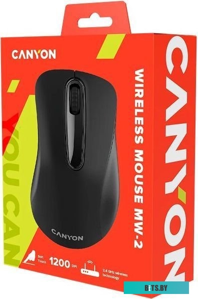 Мышь Canyon CNE-CMSW2