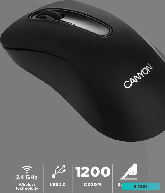 Мышь Canyon CNE-CMSW2