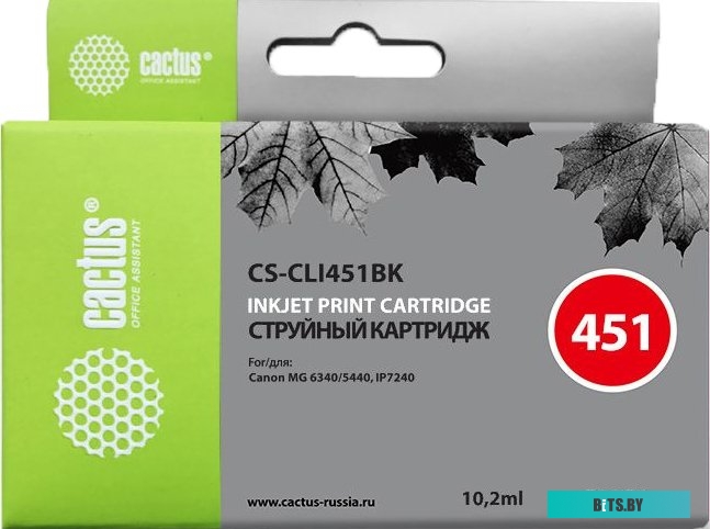 Картридж Cactus CS-CLI451BK (аналог Canon CLI-451BK)