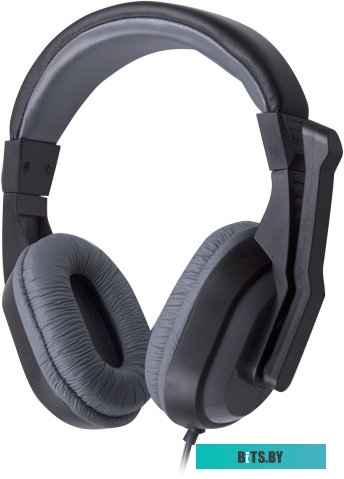 Наушники (Гарнитура) Ritmix RH-534M