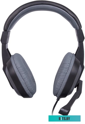 Наушники (Гарнитура) Ritmix RH-534M