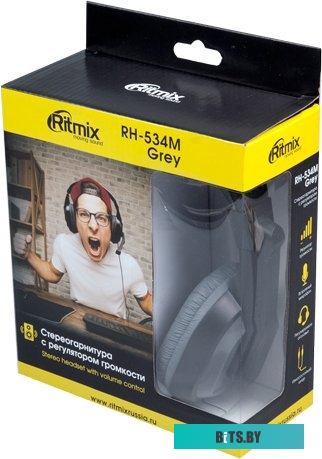 Наушники (Гарнитура) Ritmix RH-534M