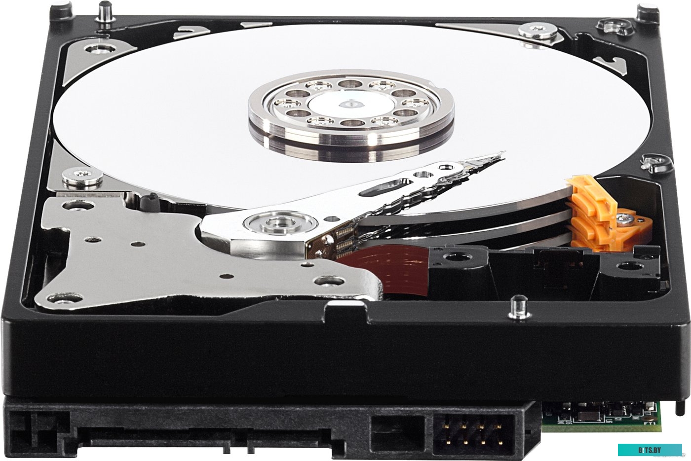 Жесткий диск WD Purple 4TB [WD40PURZ]