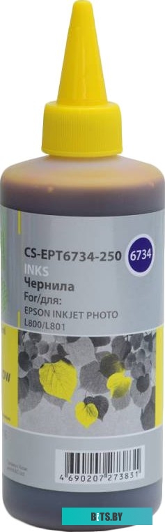 Чернила CACTUS CS-EPT6734-250