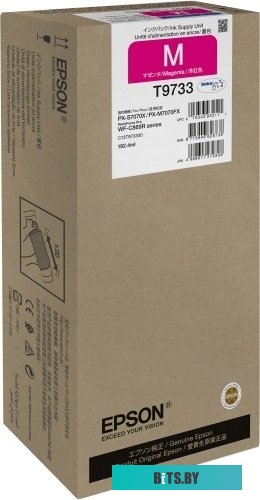 Чернила Epson C13T973300
