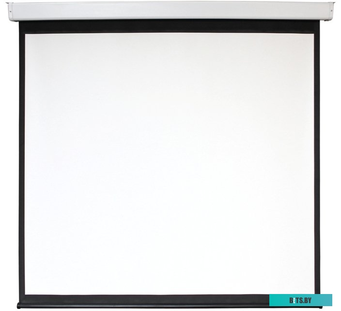 Экран для проекторов Digis Electra-F 248x249 DSEF-1108