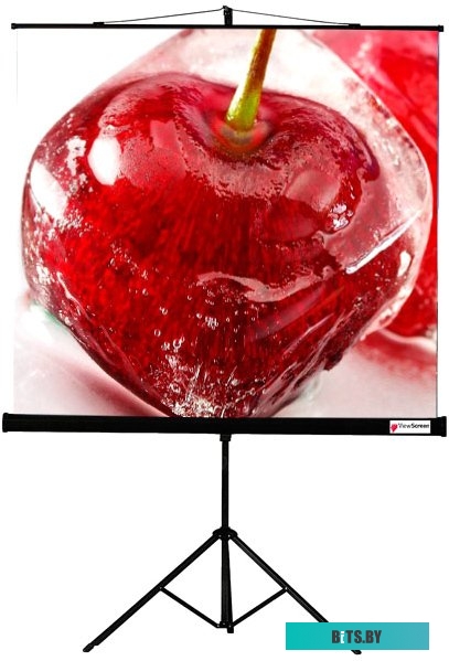 Экран для проекторов ViewScreen Clamp 160x160 <TCL-1104>