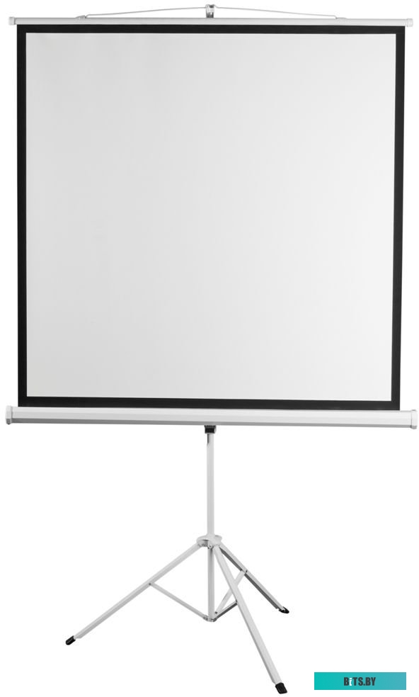 Экран для проекторов Digis Kontur-D 186x189 DSKD-1105