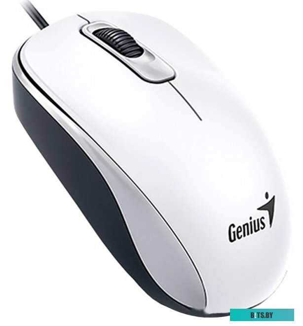 Мышь Genius DX-110 (белый)