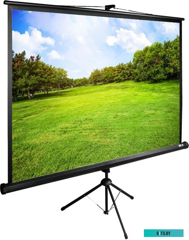 Экран для проекторов Cactus TriExpert 160x160 CS-PSTE-160x160-BK