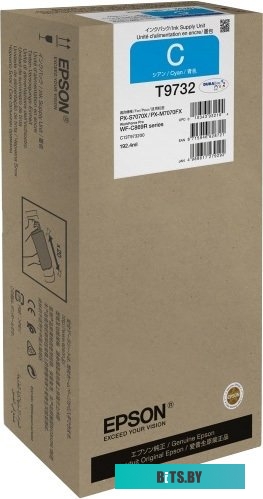 Чернила Epson C13T973200