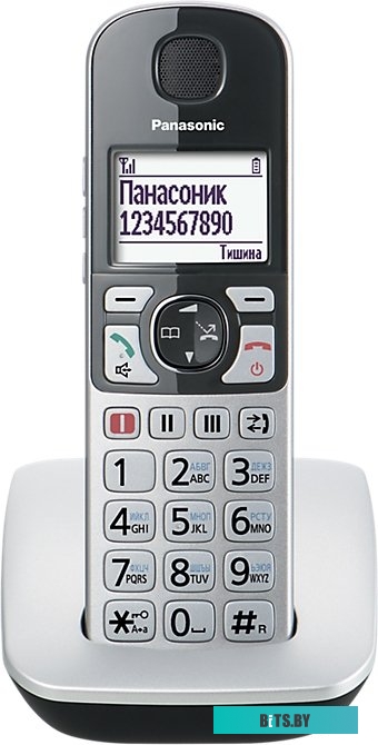 Радиотелефон Panasonic KX-TGE510RUS