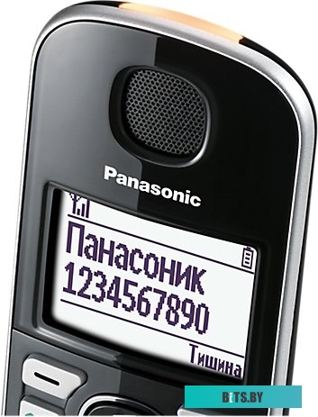 Радиотелефон Panasonic KX-TGE510RUS