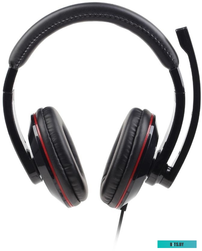Наушники с микрофоном MHS-U-001 Gembird USB Stereo