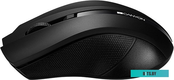 Мышь Canyon CNE-CMSW05B
