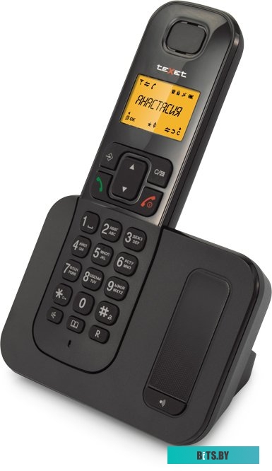 Радиотелефон TeXet TX-D6605A