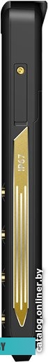 Мобильный телефон TeXet TM-520R (черный-золотистый)